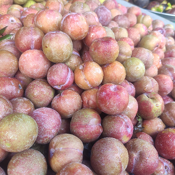 Mận Hà Nội